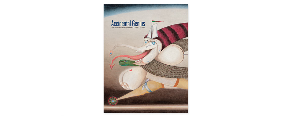Accidental Genius cover